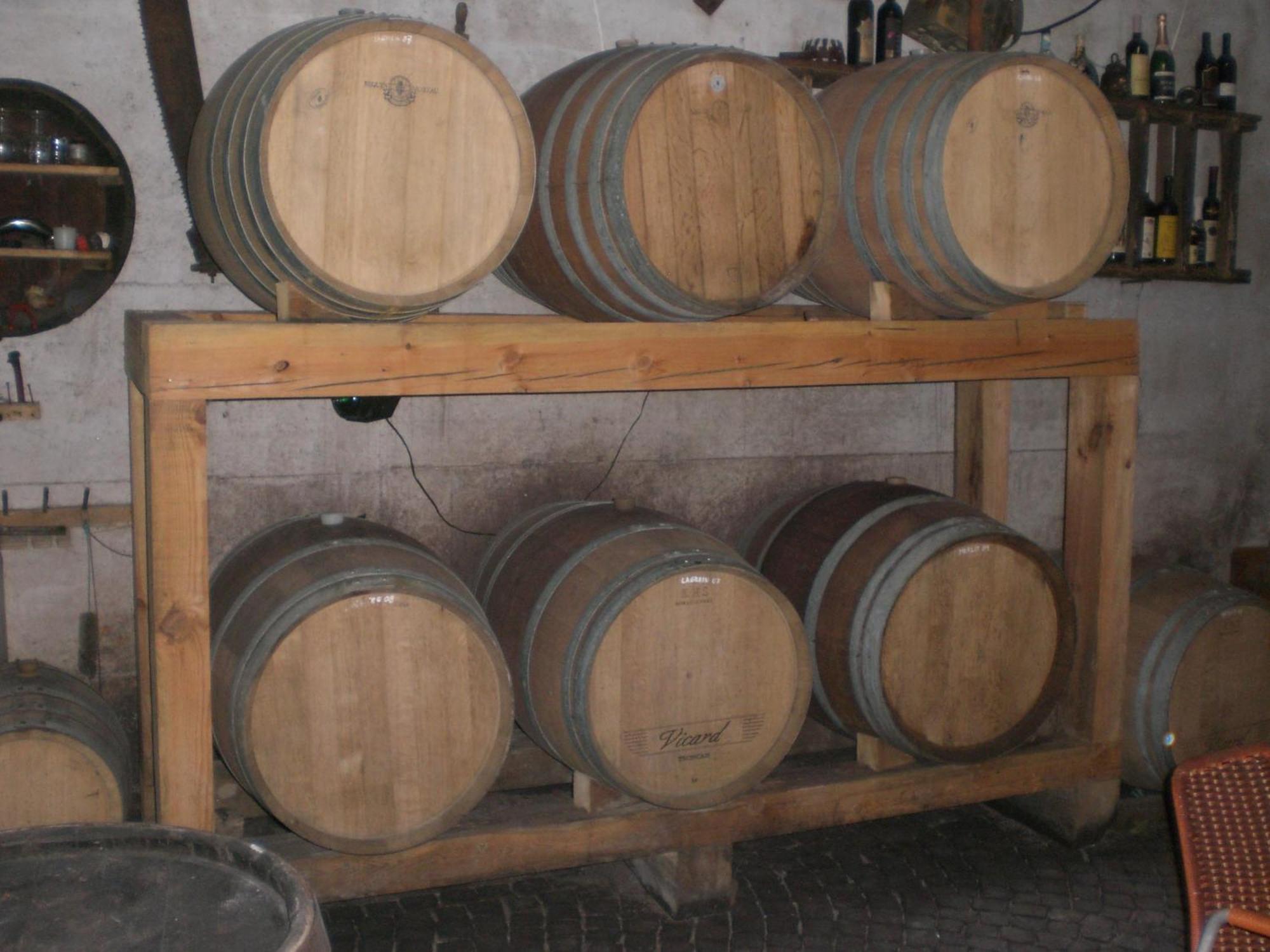 Apartamento Biobauernhof St. Quirinus Caldaro sulla Strada del Vino Exterior foto