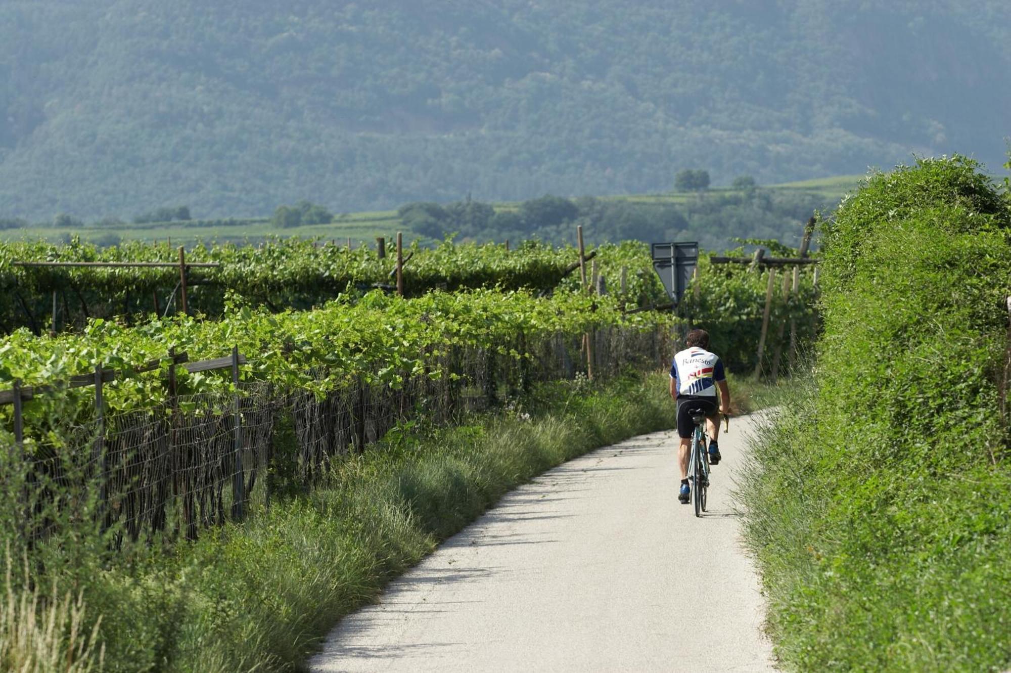 Apartamento Biobauernhof St. Quirinus Caldaro sulla Strada del Vino Exterior foto