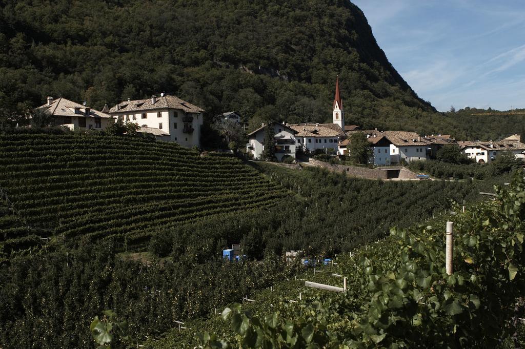 Apartamento Biobauernhof St. Quirinus Caldaro sulla Strada del Vino Exterior foto