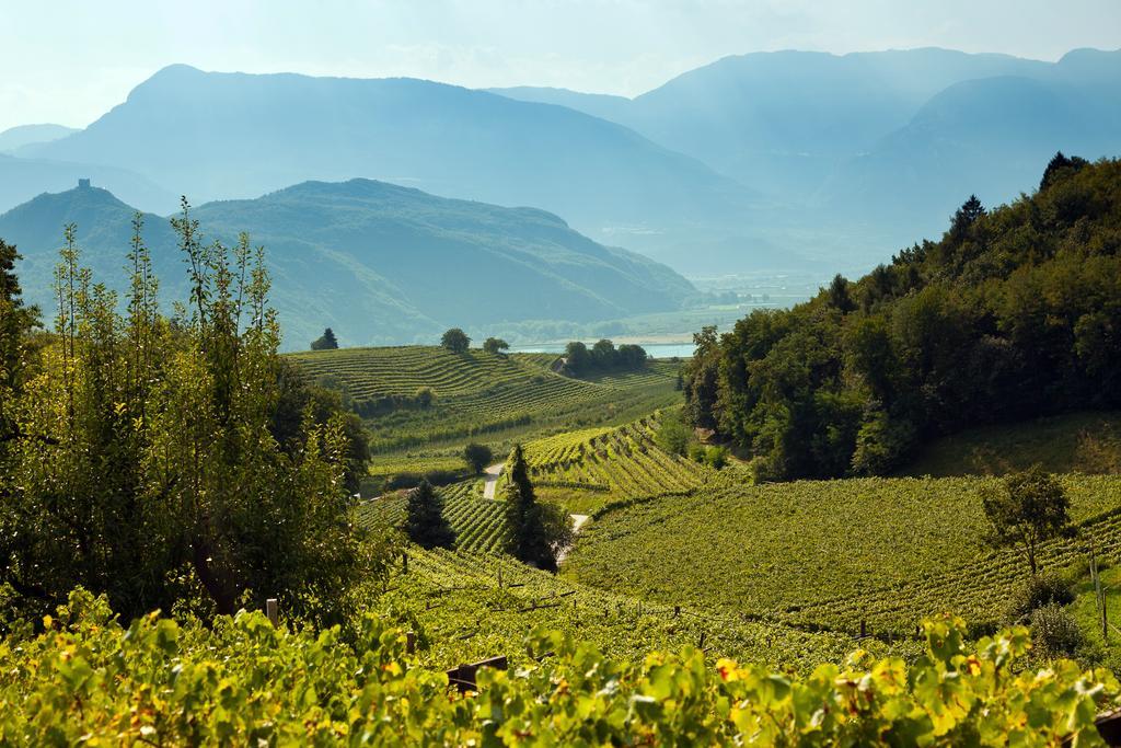 Apartamento Biobauernhof St. Quirinus Caldaro sulla Strada del Vino Exterior foto