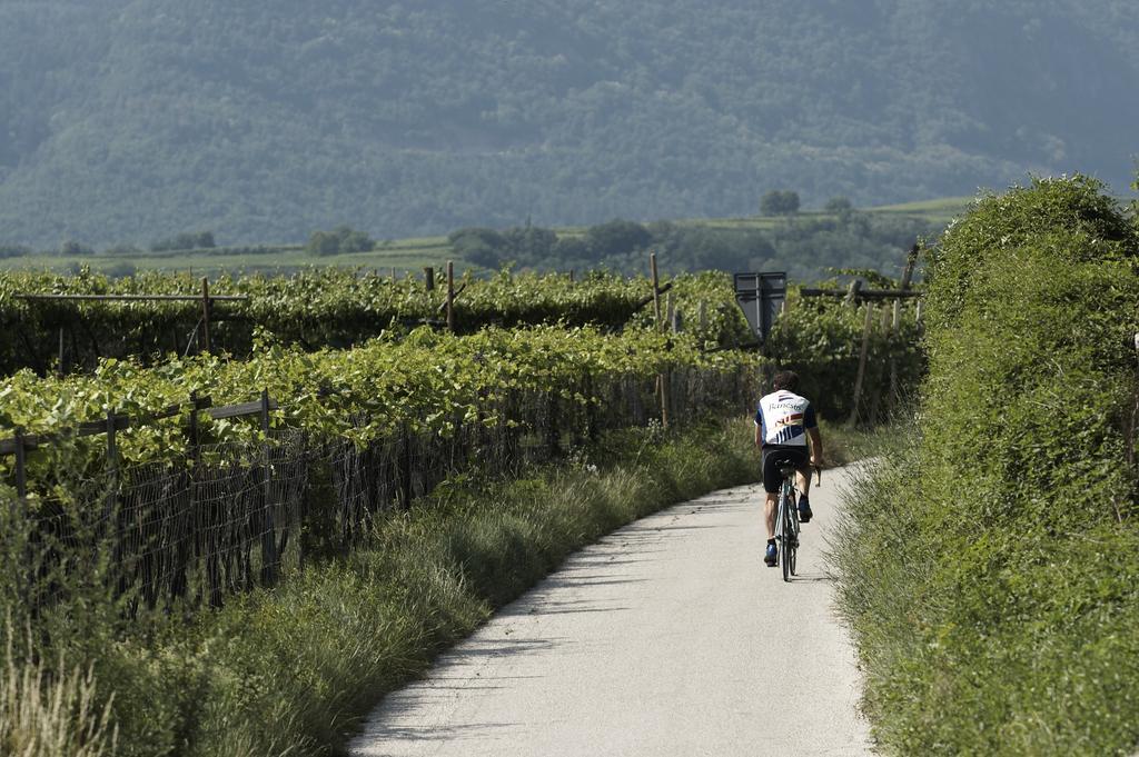 Apartamento Biobauernhof St. Quirinus Caldaro sulla Strada del Vino Exterior foto