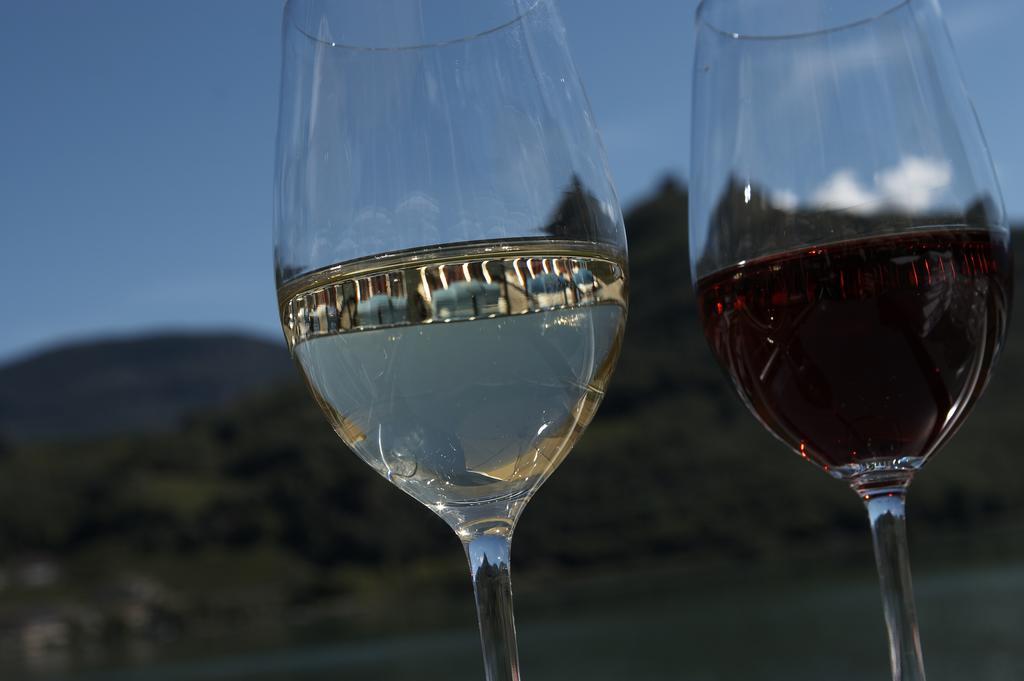 Apartamento Biobauernhof St. Quirinus Caldaro sulla Strada del Vino Exterior foto