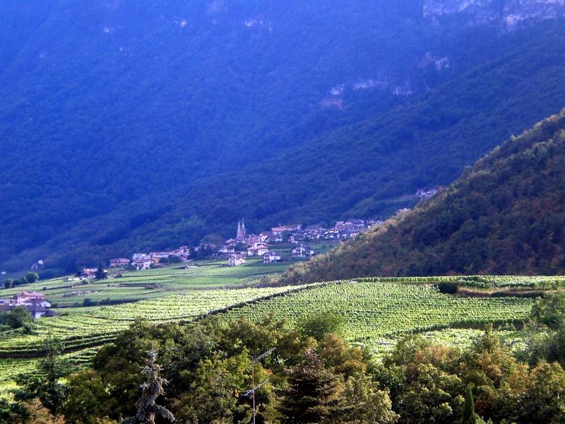 Apartamento Biobauernhof St. Quirinus Caldaro sulla Strada del Vino Exterior foto