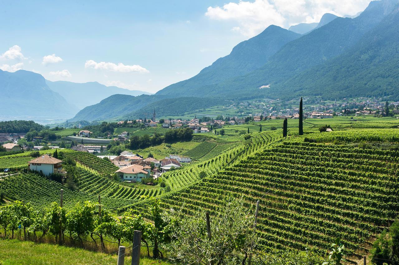 Apartamento Biobauernhof St. Quirinus Caldaro sulla Strada del Vino Exterior foto