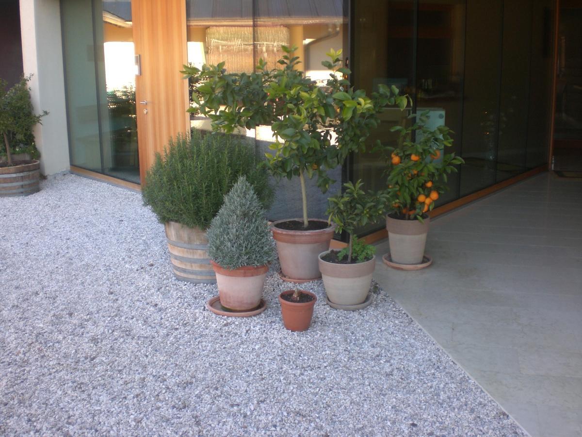 Apartamento Biobauernhof St. Quirinus Caldaro sulla Strada del Vino Exterior foto