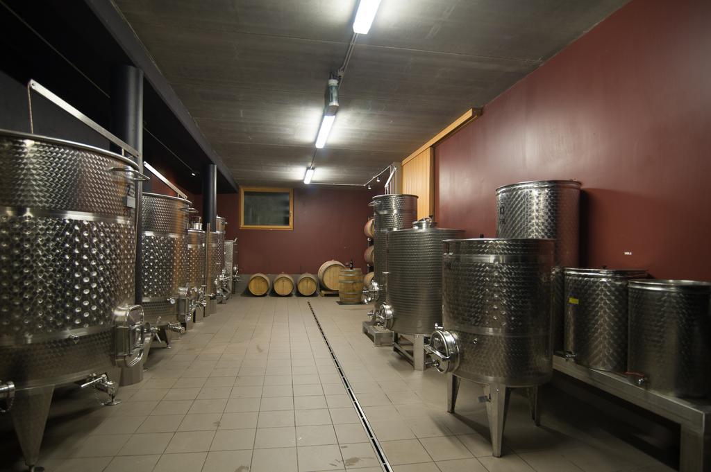 Apartamento Biobauernhof St. Quirinus Caldaro sulla Strada del Vino Exterior foto