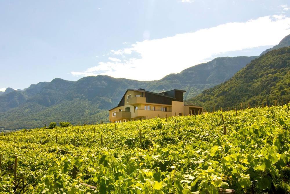 Apartamento Biobauernhof St. Quirinus Caldaro sulla Strada del Vino Exterior foto