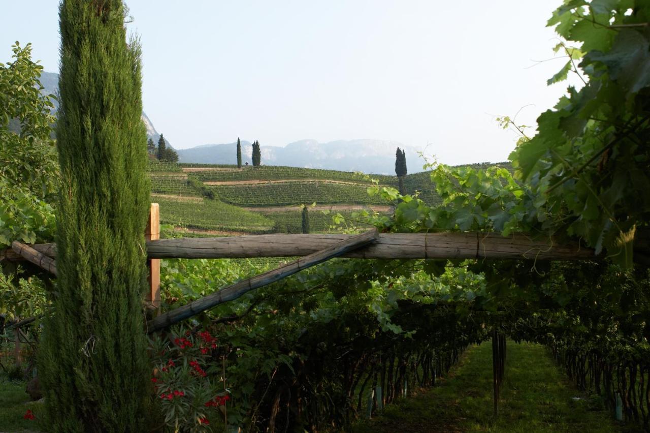 Apartamento Biobauernhof St. Quirinus Caldaro sulla Strada del Vino Exterior foto