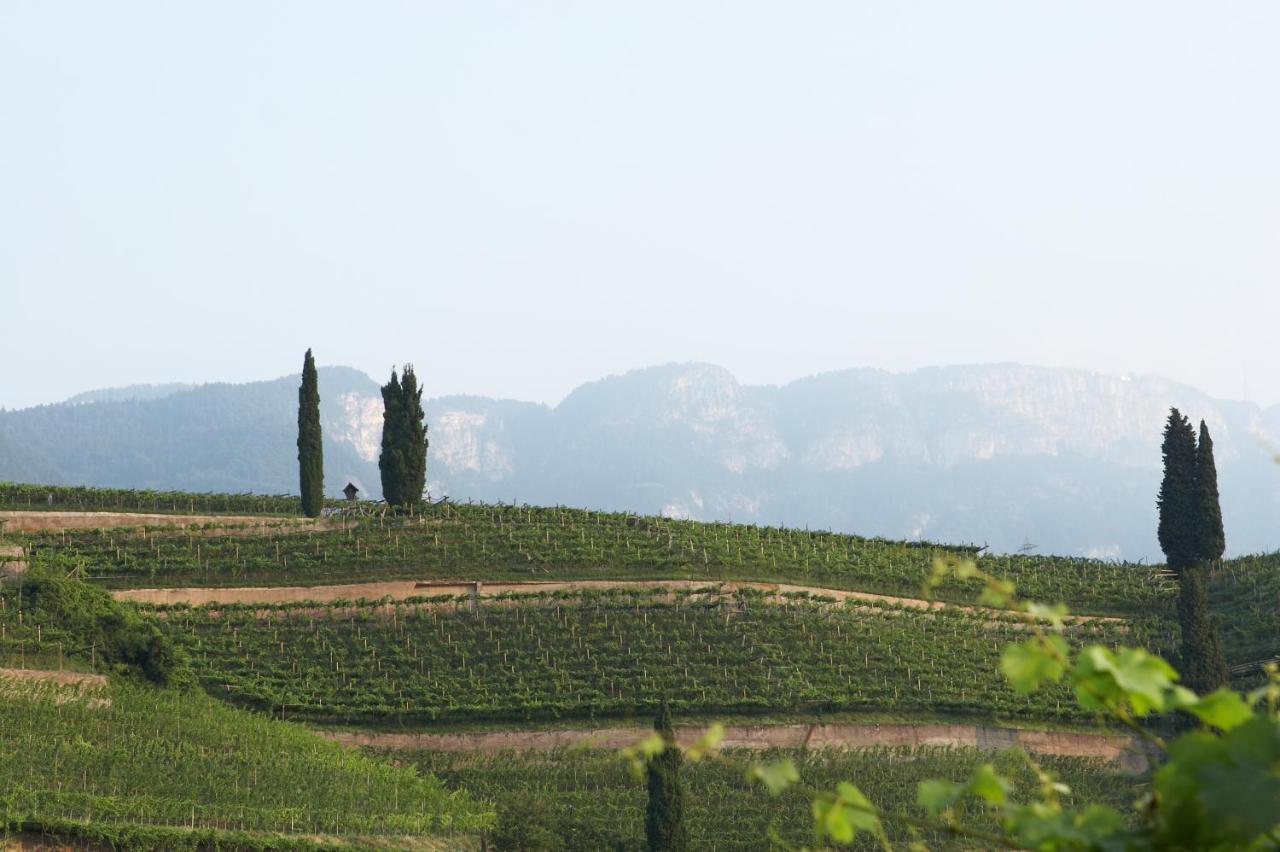 Apartamento Biobauernhof St. Quirinus Caldaro sulla Strada del Vino Exterior foto