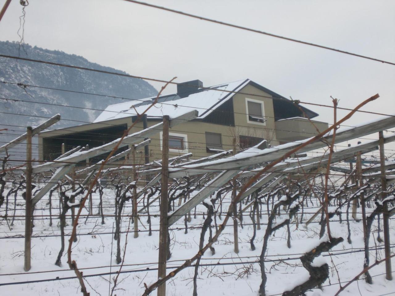 Apartamento Biobauernhof St. Quirinus Caldaro sulla Strada del Vino Exterior foto